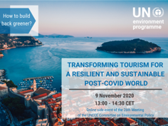 UNEP online event on 9th Nov 2020