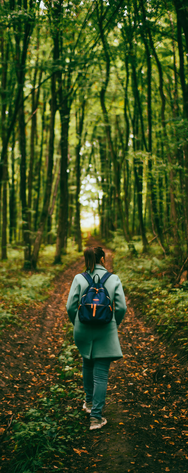 A walk in the park